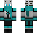 owner skin