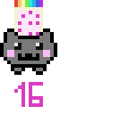 16 followers