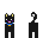black cat