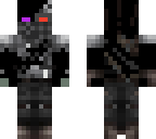 enderman and terminator