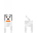 gray dog