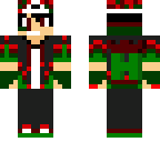 christmas swag