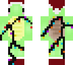 christmas turtle