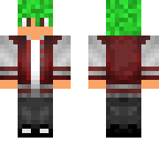 skin