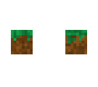 the dirt