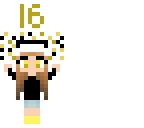 16 followers