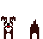 cute dog