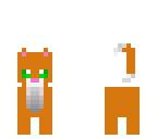 orange cat