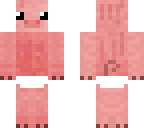 robins skin