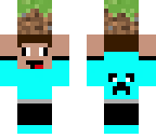 lift a grass block