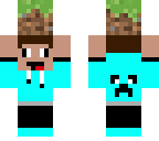 lift a grass block