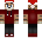 tiger with santa details