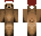 bear with christmas hat