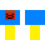 blueyellow headleas guy
