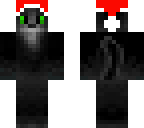 christmas cat