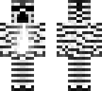 cool zebra