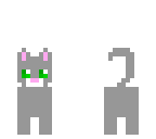 gray kitty