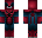 spider bear