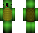 funny turtle