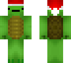 le christ turtle