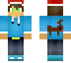 skin