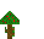 apple tree