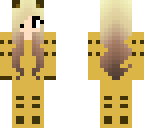 catbus girl