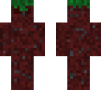 dirt guy