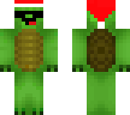 nice turtle
