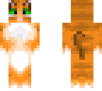 orange cat