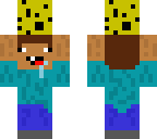 updated sponge carrier