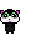 black cat
