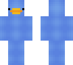 blue duck