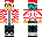 christmas swag