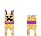 ellie the pug