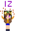 12 followers