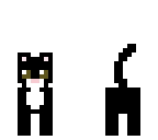 edited little kitty