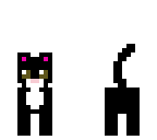 kitty