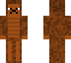 mister armadillo