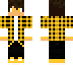 pro minecraft player