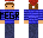 the regr skin
