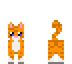 tiger the kitten