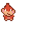 chimchar