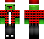 not jewish festive turtle