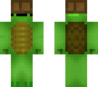 turtle power 101 kid
