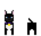 black dog