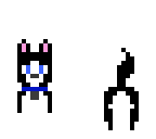 cute dog