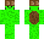turtle shaman