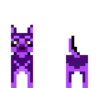 purple dog