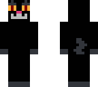 levi the cat